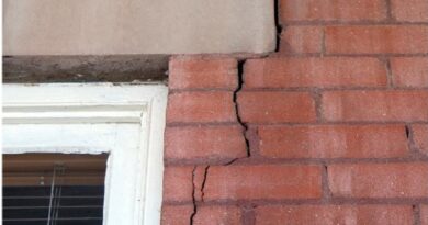 Home Repairs you Shouldn’t Ignore / Foundation Crack by homes outside door