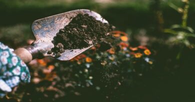 Prevent Soil Erosion / Shovel full of soil