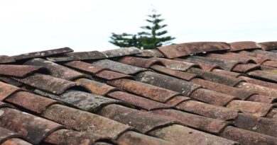 Summertime Home Improvement Projects / Old Tile Roof