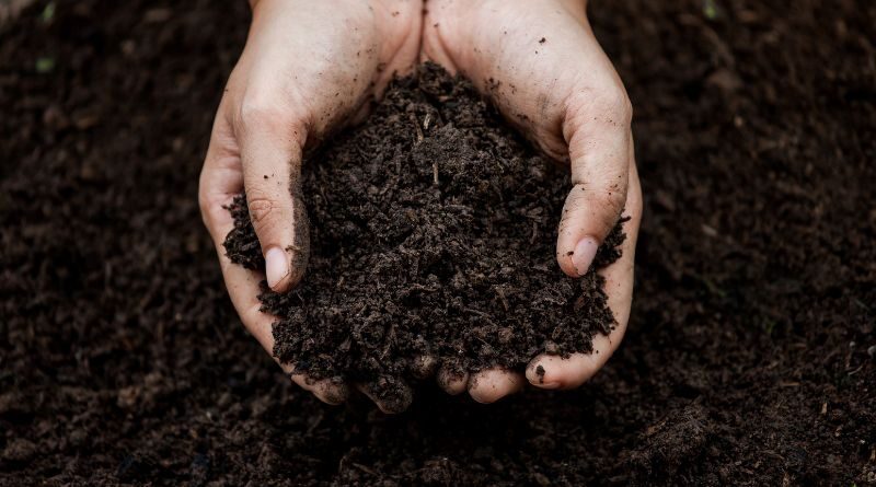 How Does Weather Affect Soil in Each Season? / Hands holding soil for gardening
