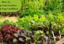 How To Keep Your Garden in Tip Top Condition / Vegetable Garden