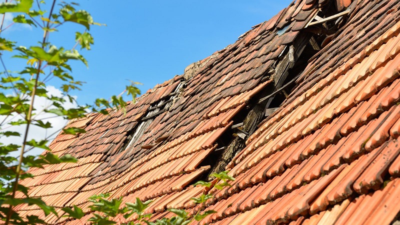 Reasons to Find a Roofer / Roof with Damage