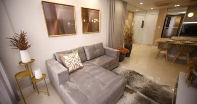 Making Your Home Look Luxurious / Living room and open kitche with beautiful Sofa and furnishings