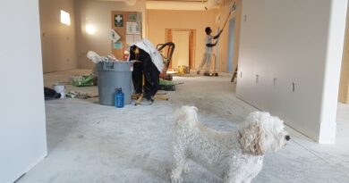 Little White dog in open room with construction equipment and a man painting the walls