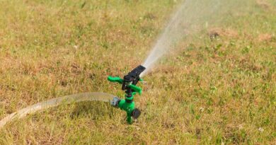Taking Care of Your Lawn During a Heatwave / Sprinkler watering a dry lawn