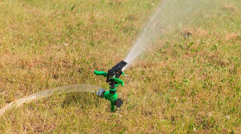 Taking Care of Your Lawn During a Heatwave / Sprinkler watering a dry lawn
