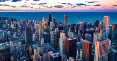 Chicago Skyline along the Shore