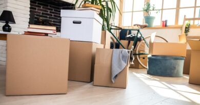 How to Make Moving House Easier / Packed Moving Boxes