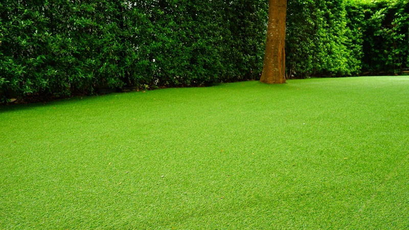 Artificial Lawn / How to Install Artificial Turf at Home