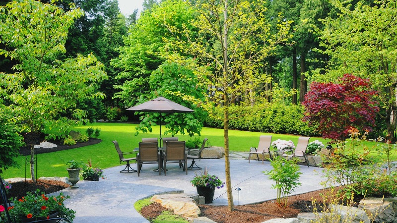 Beautifully Manicured Back Yard with Patio Seating