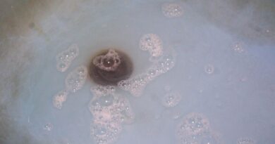 Symptoms Of A Sewer Drain Clog / Clogged Bathroom Sink