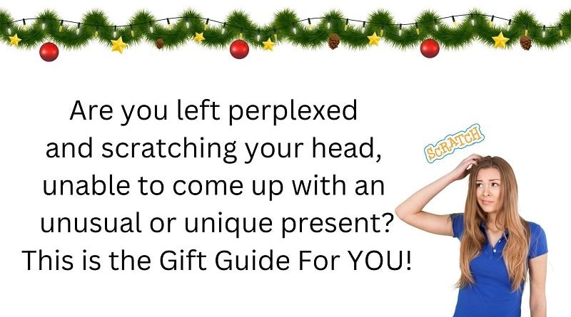 Holiday for the Person Who Seems to Have Everything FI
