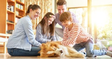 Five Easy Tips for Taking Care of Your Dog / Family with Their Dog