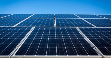 The Environmental Benefits of Solar Energy / Roof covered in solar panels