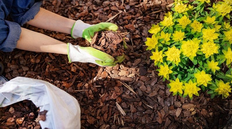 Garden Timesavers / Woman mulching her flower beds