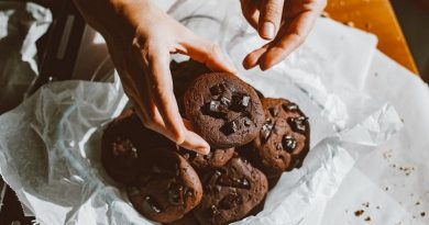Exploring Classic Dessert Recipes / Decadent Chocolate Cookies