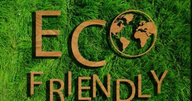 The Rise of Eco-Friendly Materials: A Guide to Sustainable Construction