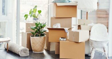 Room filled with moving boxes /