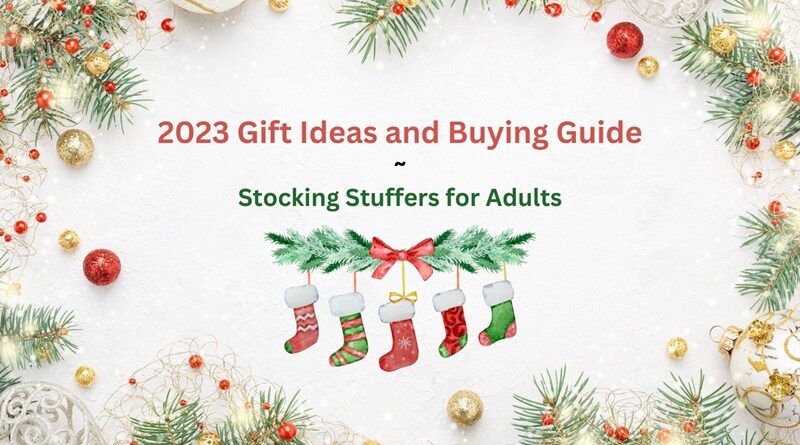 2023 Holiday Stocking Stuffers for Adults FI
