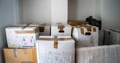 Packed Moving Boxes /