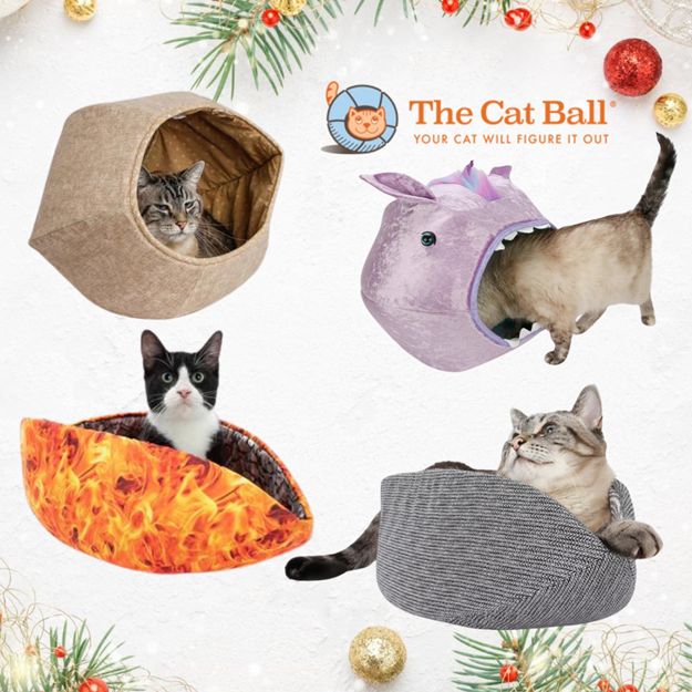 The Cat Ball 