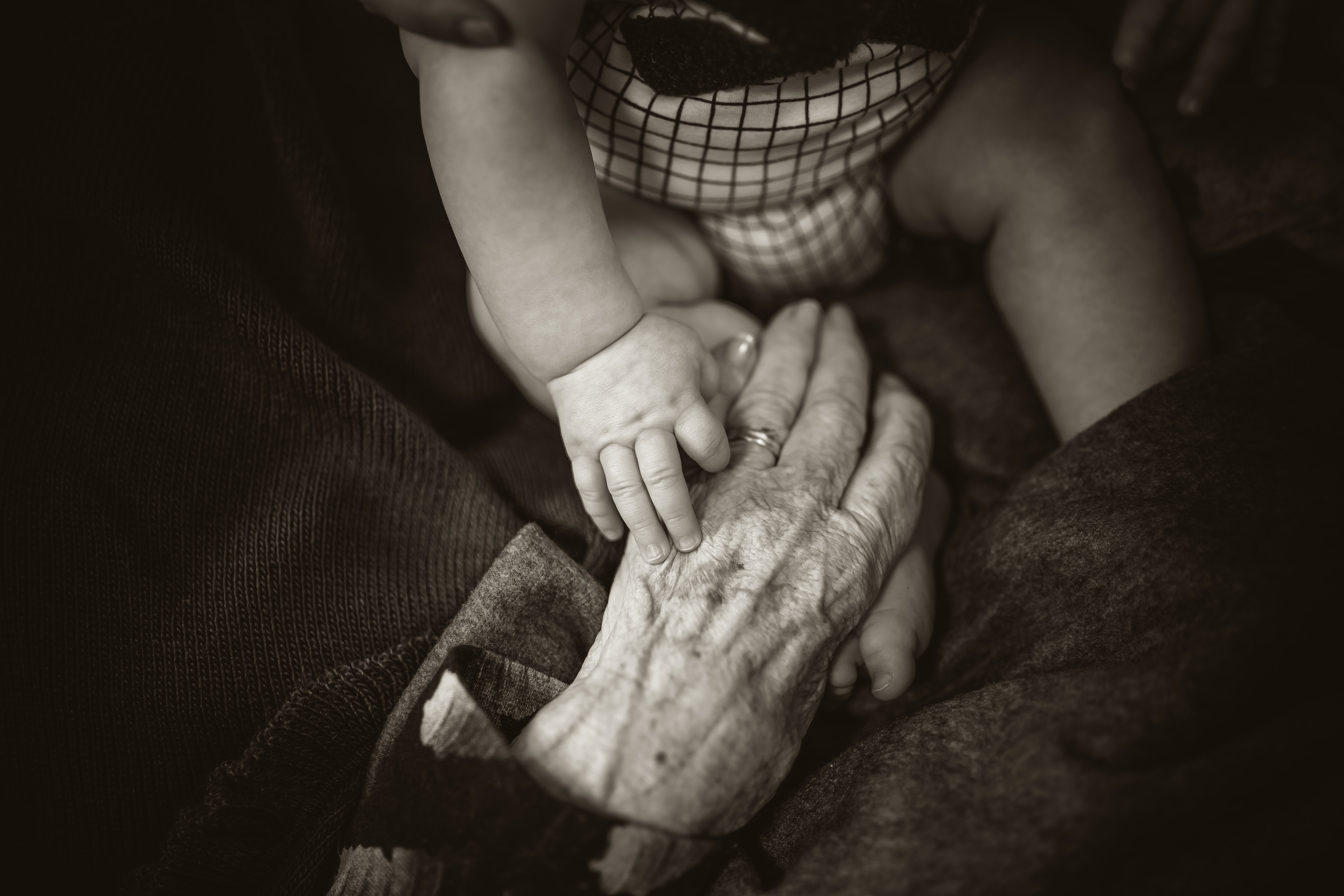 Baby touching and elderly persons hand / Back to Articles Aging in Place: A Guide to the Best Services for Seniors