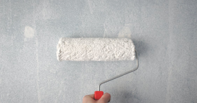 Hand holding a red handled paint roller against a wall / 9 Common House Issues: And How to Fix Them