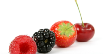 Fresh Berries / Fresh Finds: The Ultimate Guide to Extending the Life of Your Groceries