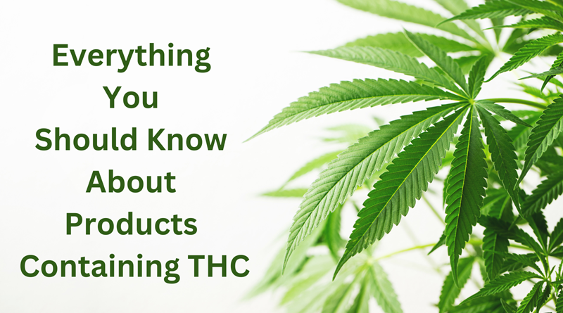 Marijuana Plant / Everything You Should Know About Products Containing THC