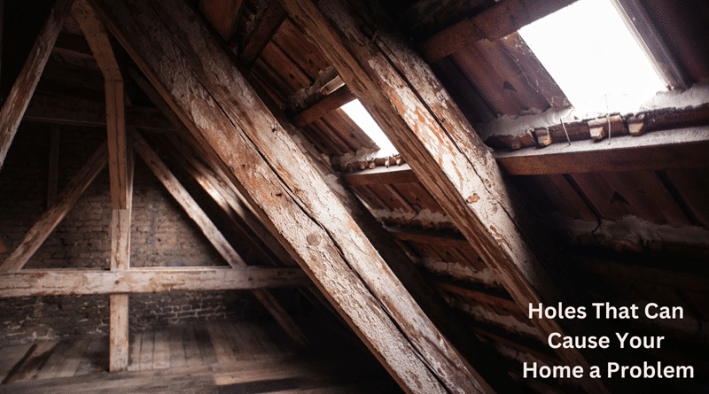 An attic that needs to be worked on. / Holes That Can Cause Your Home a Problem