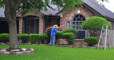 Man wearing a sun hat trimming bushes in front of a shaded brick home