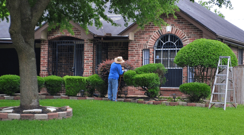 Man wearing a sun hat trimming bushes in front of a shaded brick home