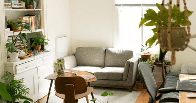 Neutral Living Area with Gray Fabric Sofa Desk Small Wooden Table with Chair Throw Rug, Built In Bookshelf and Potted Plants / Three Ways To Make Your House A Home To Love