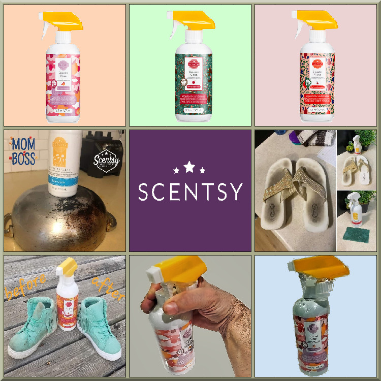 Scentsy Counter Clean - 9x_BUTTON.jpg