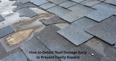 Roof with Minor Damage / How to Detect Roof Damage Early to Prevent Costly Repairs