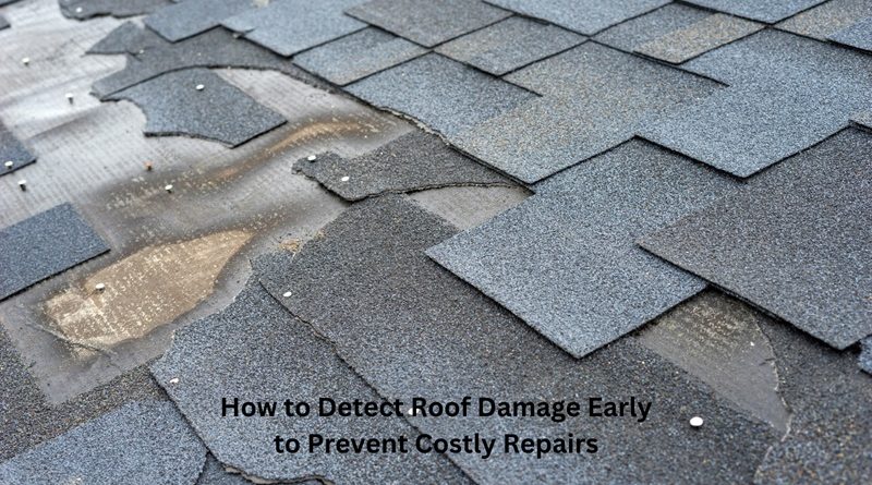 Roof with Minor Damage / How to Detect Roof Damage Early to Prevent Costly Repairs