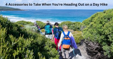4 People Wearing Backpacks Hiking Down a Trail to the Beach / 4 Accessories to Take When You're Heading Out on a Day Hike