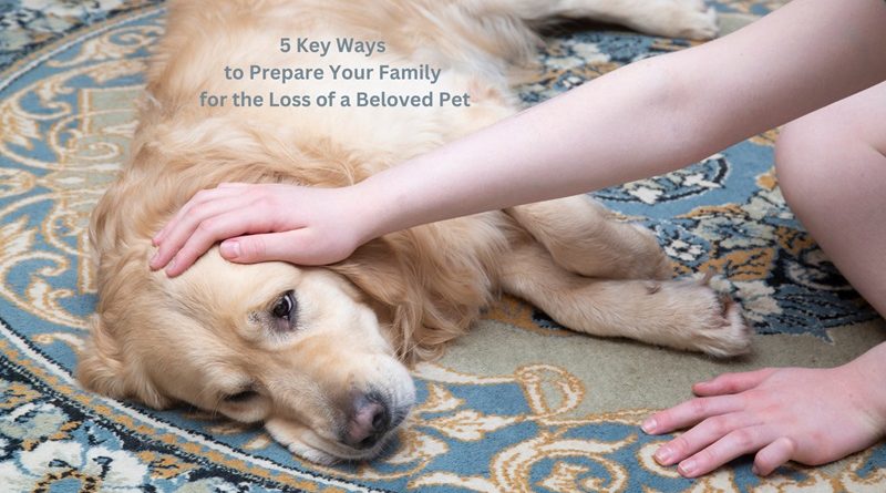 Person Petting an Older Dog who is Laying on a blue and cream patterned Rug / 5 Key Ways to Prepare Your Family for the Loss of a Beloved Pet