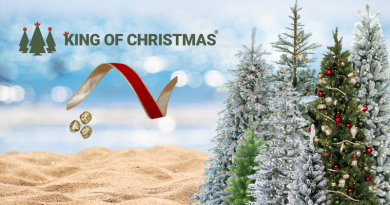 Christmas Trees in the sand on a Beach / It's NEVER To Early To Start Planning with KING OF CHRISTMAS