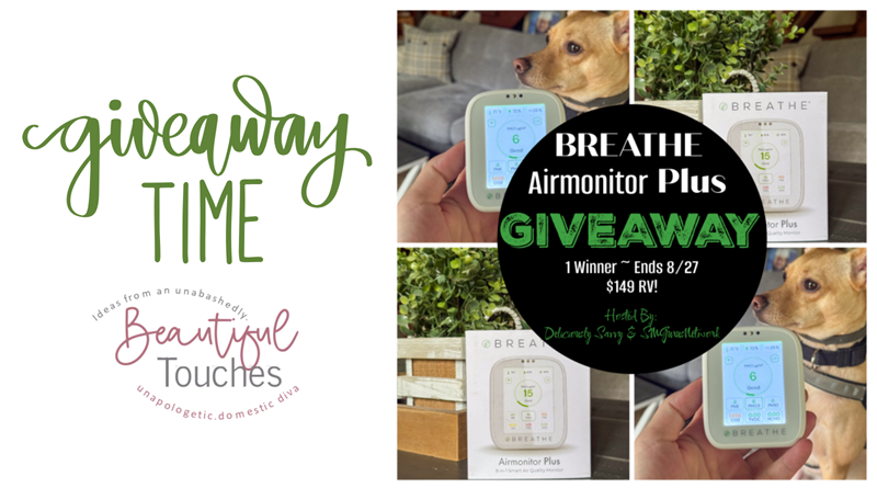 BREATHE Airmonitor Plus Giveaway