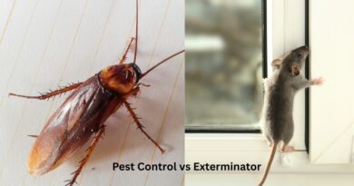 Pest Control vs Exterminator - Is There a Difference Cockroach and Mouse
