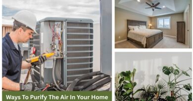 HVAC Maintenance, Bedroom with Ceiling Fan, Houseplants