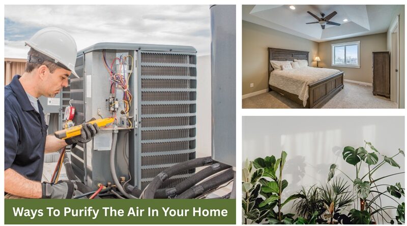 HVAC Maintenance, Bedroom with Ceiling Fan, Houseplants