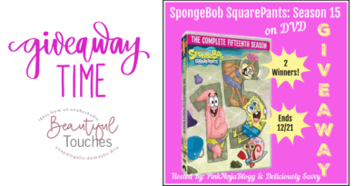 SpongeBob SquarePants Season 15 DVD Giveaway