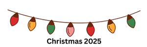 Christmas 2025 String of Lights Divider